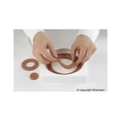 Moule Silicone Insert 12 Cercles Ø 26 cm Silikomart Professional