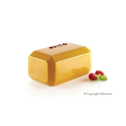 Moule Silicone Lingot Trésor 17x10,4 cm SilikoMart Professional