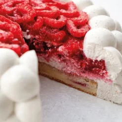 Moule Silicone Nuage 18 cm x H 6,5 cm Cédric Grolet Pavoni