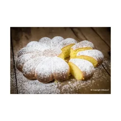 Moule Silicone Primavera Ø 22 cm x H 5 cm Silikomart 3D Design