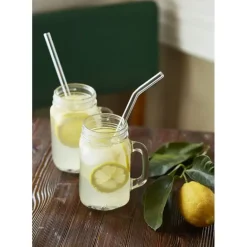 Paille Réutilisable en Verre 23cm courbée x4 HALM