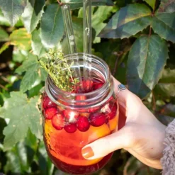 Paille Réutilisable en Verre Noël 20cm droite x6 HALM