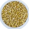 Pignon de Pin Sibérie 250g