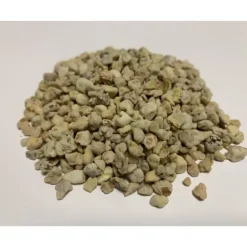 Pistaches Caramélisées 1kg Fruisec