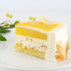 Préparation Bavarois Gel Citron 100 g Patisdécor