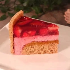 Préparation Bavarois Gel Fraise 100 g Patisdécor