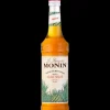 Sirop Agave 70 cl Monin