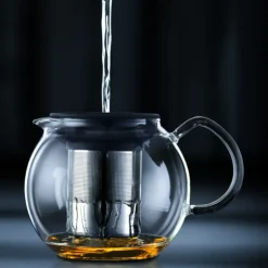 Théière avec Filtre Inox 1.5L ASSAM Bodum