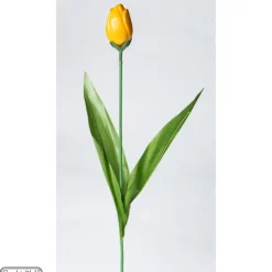 Tiges pour Tulipes en Chocolat x200 Chocolate World